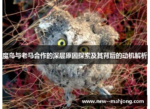 魔鸟与老马合作的深层原因探索及其背后的动机解析