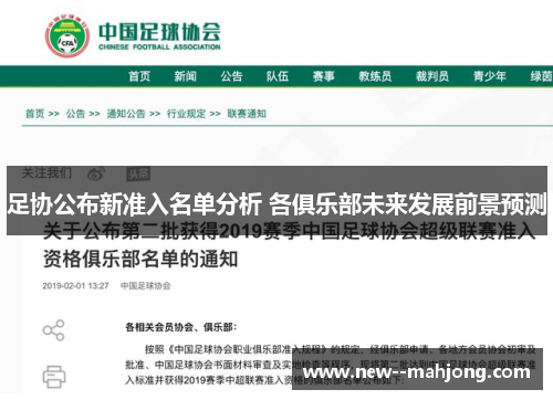 足协公布新准入名单分析 各俱乐部未来发展前景预测